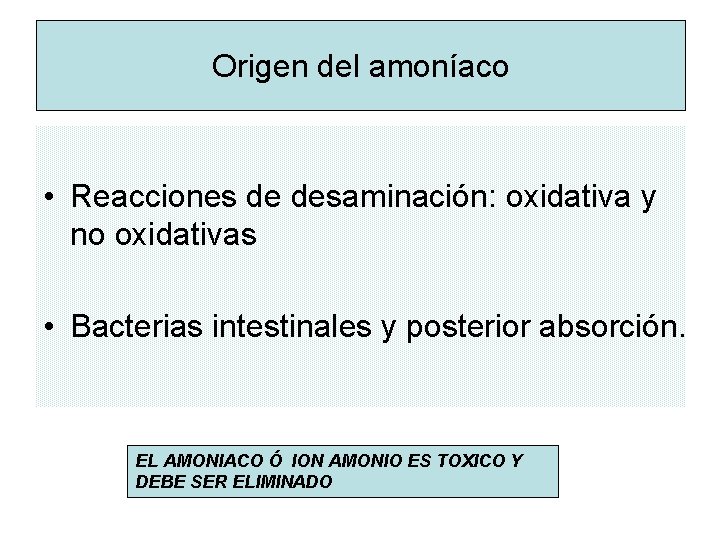 Origen del amoníaco • Reacciones de desaminación: oxidativa y no oxidativas • Bacterias intestinales