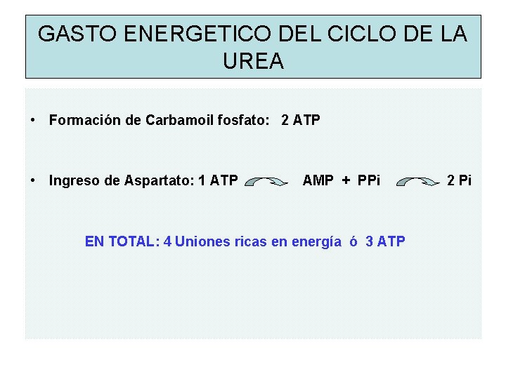 GASTO ENERGETICO DEL CICLO DE LA UREA • Formación de Carbamoil fosfato: 2 ATP GASTO ENERGETICO DEL CICLO DE LA UREA • Formación de Carbamoil fosfato: 2 ATP
