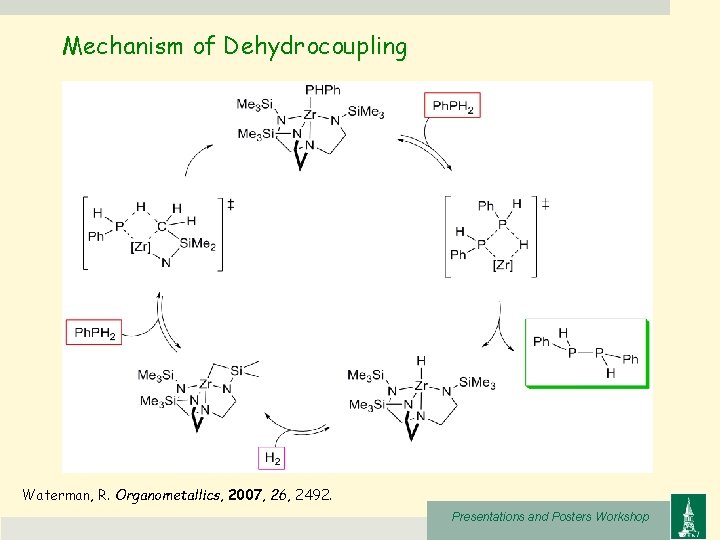 Mechanism of Dehydrocoupling Waterman, R. Organometallics, 2007, 26, 2492. Presentations and Posters Workshop 
