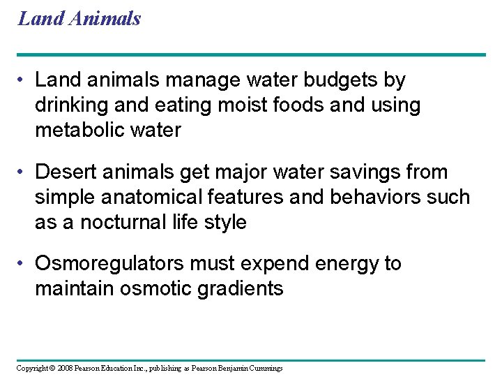 Land Animals • Land animals manage water budgets by drinking and eating moist foods