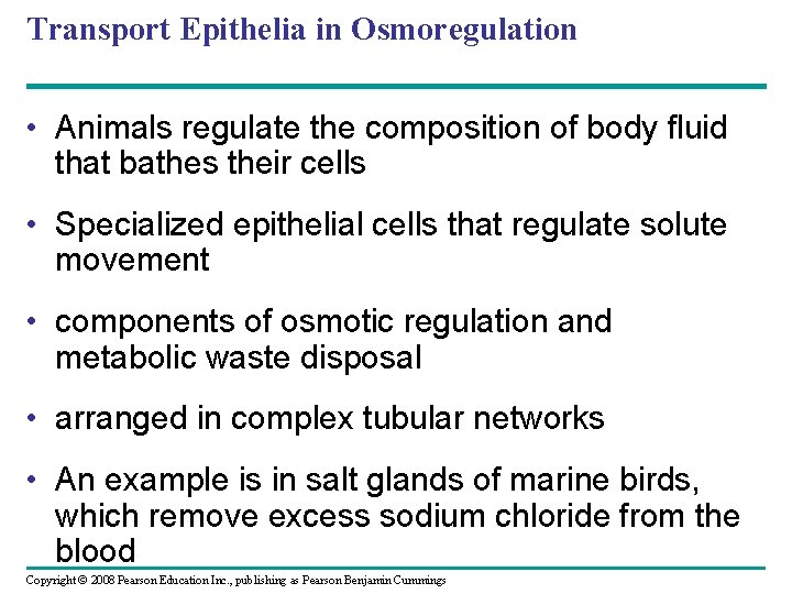 Transport Epithelia in Osmoregulation • Animals regulate the composition of body fluid that bathes