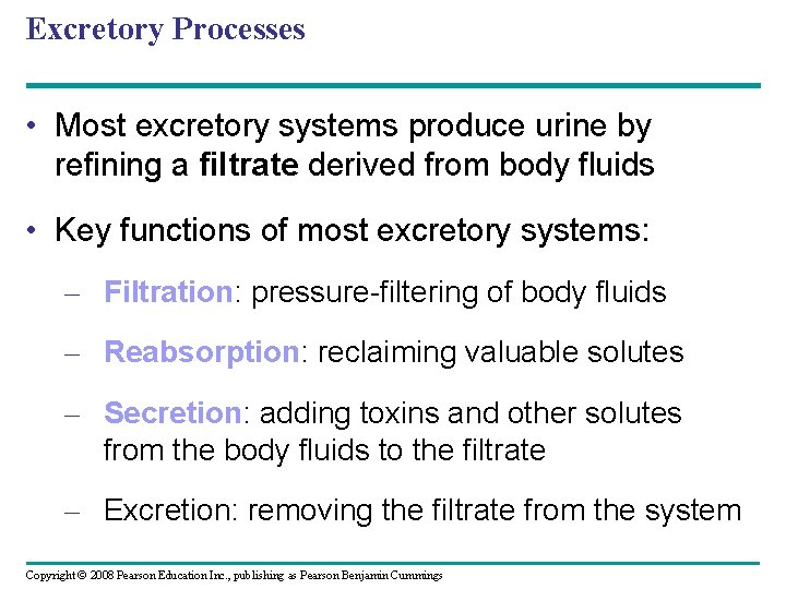 Excretory Processes • Most excretory systems produce urine by refining a filtrate derived from