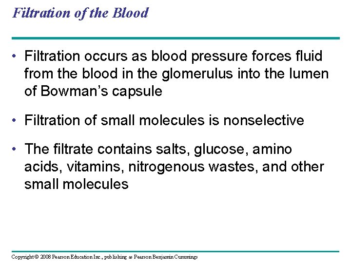Filtration of the Blood • Filtration occurs as blood pressure forces fluid from the