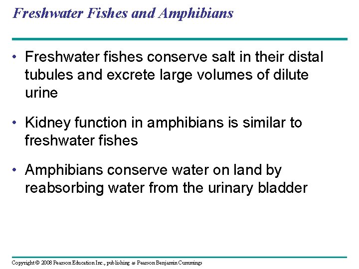 Freshwater Fishes and Amphibians • Freshwater fishes conserve salt in their distal tubules and
