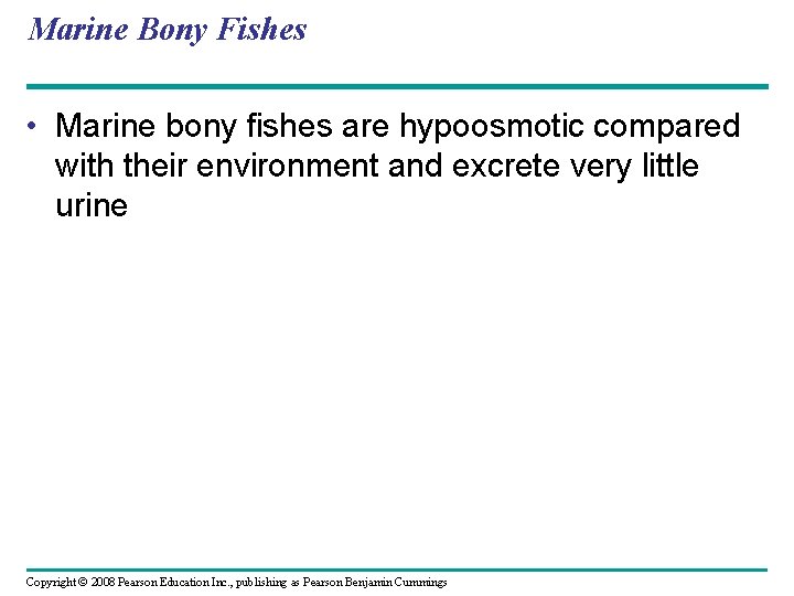 Marine Bony Fishes • Marine bony fishes are hypoosmotic compared with their environment and