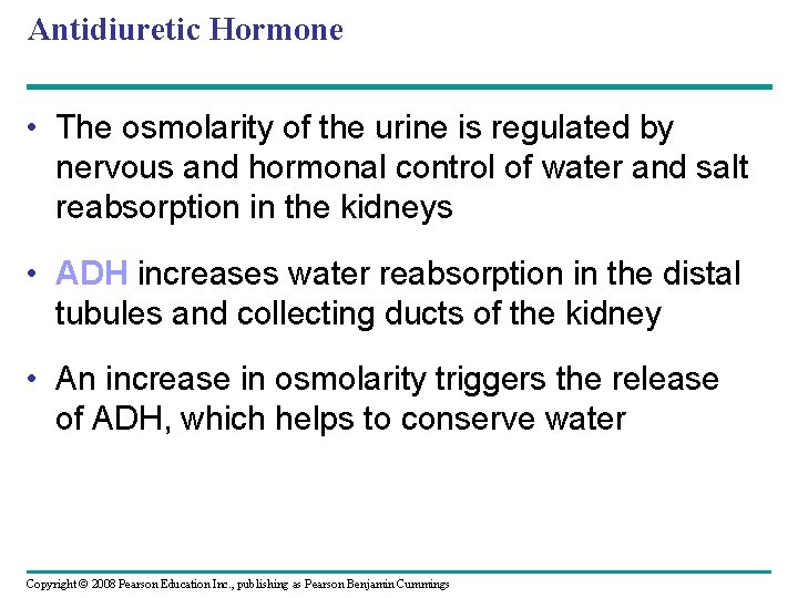 Antidiuretic Hormone • The osmolarity of the urine is regulated by nervous and hormonal