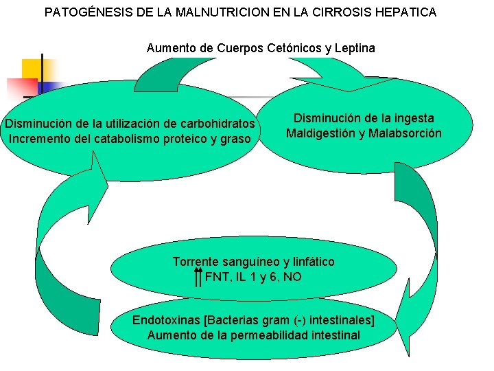 PATOGÉNESIS DE LA MALNUTRICION EN LA CIRROSIS HEPATICA Aumento de Cuerpos Cetónicos y Leptina