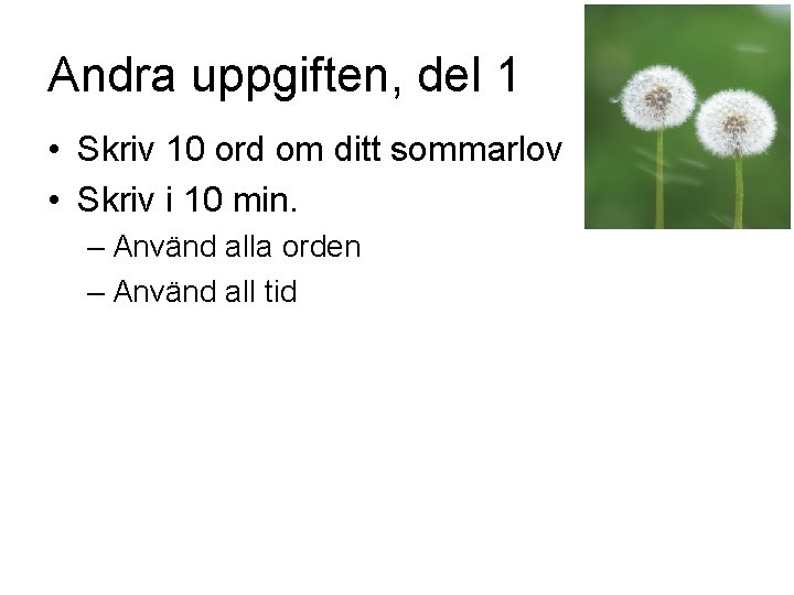 Andra uppgiften, del 1 • Skriv 10 ord om ditt sommarlov • Skriv i