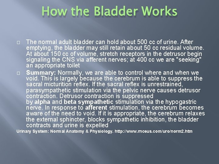 How the Bladder Works � � The normal adult bladder can hold about 500
