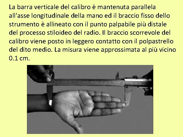 La barra verticale del calibro è mantenuta parallela all'asse longitudinale della mano ed il