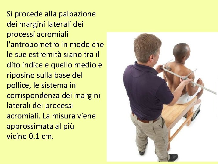 Si procede alla palpazione dei margini laterali dei processi acromiali l'antropometro in modo che