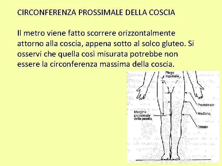 CIRCONFERENZA PROSSIMALE DELLA COSCIA Il metro viene fatto scorrere orizzontalmente attorno alla coscia, appena