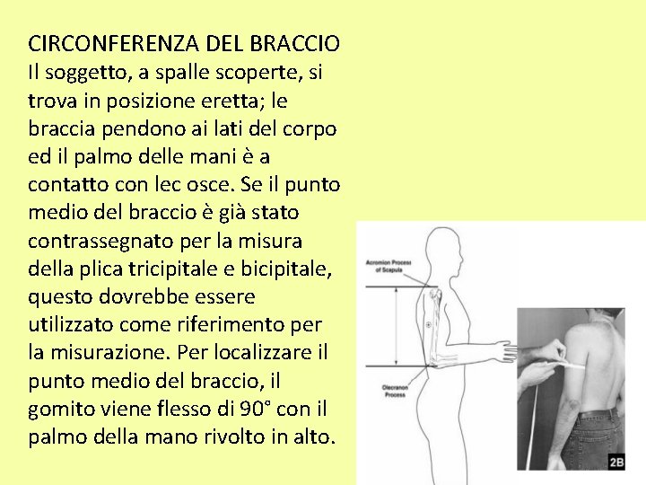 CIRCONFERENZA DEL BRACCIO Il soggetto, a spalle scoperte, si trova in posizione eretta; le