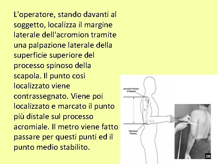 L'operatore, stando davanti al soggetto, localizza il margine laterale dell'acromion tramite una palpazione laterale