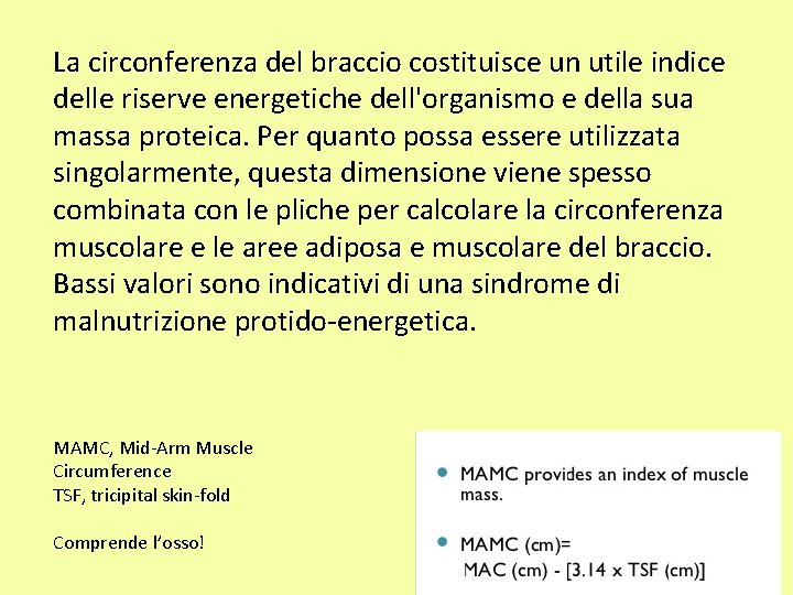 La circonferenza del braccio costituisce un utile indice delle riserve energetiche dell'organismo e della