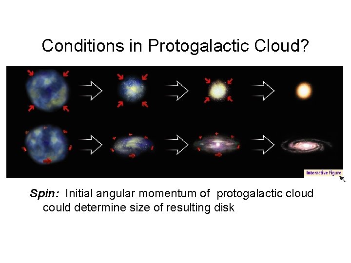 Conditions in Protogalactic Cloud? Spin: Initial angular momentum of protogalactic cloud could determine size