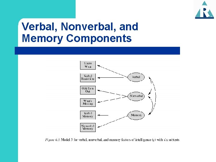 Verbal, Nonverbal, and Memory Components 