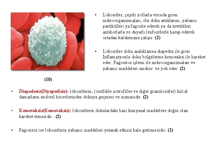  • Lökositler, çeşitli yollarla vücuda giren mikroorganizmaları, ölü doku artıklarını, yabancı partikülleri ya