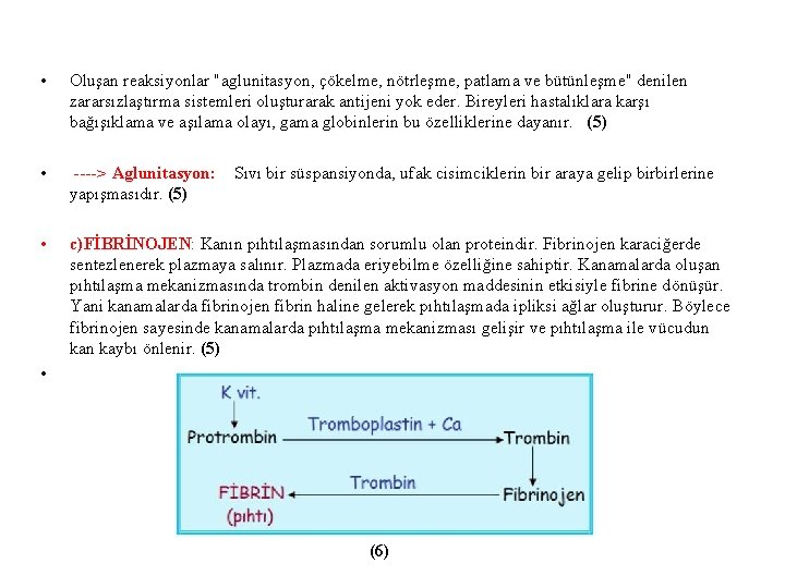  • Oluşan reaksiyonlar "aglunitasyon, çökelme, nötrleşme, patlama ve bütünleşme" denilen zararsızlaştırma sistemleri oluşturarak