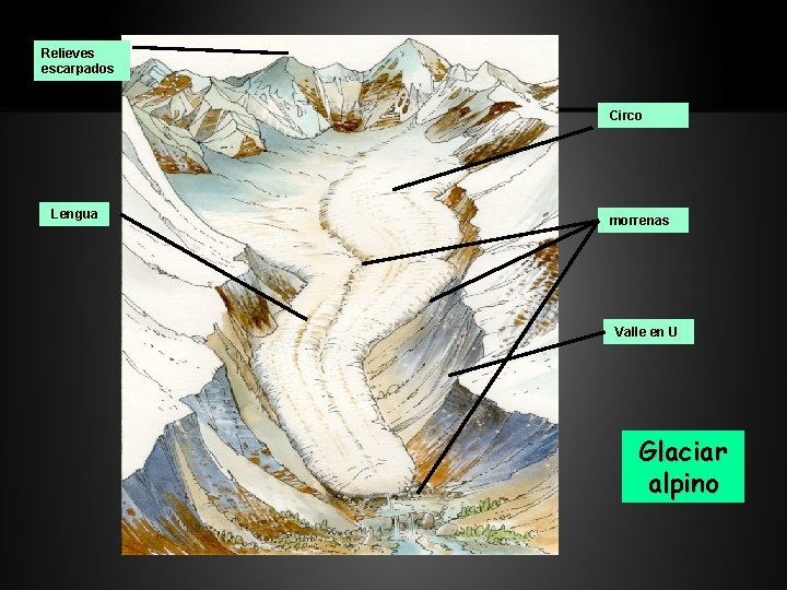 Relieves escarpados Circo Lengua morrenas Valle en U Glaciar alpino 