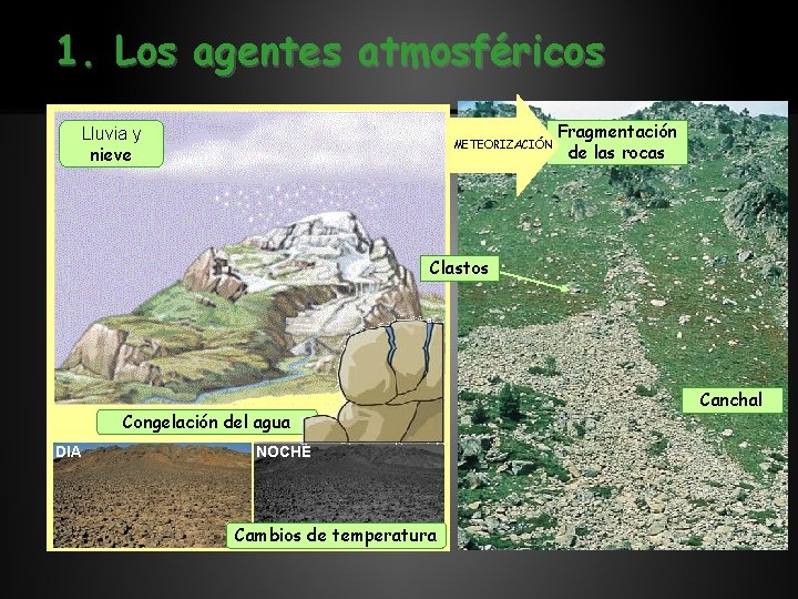 1. Los agentes atmosféricos Lluvia y nieve METEORIZACIÓN Fragmentación de las rocas Clastos Congelación