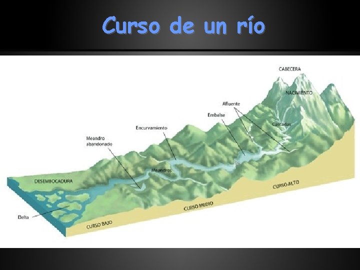 Curso de un río 