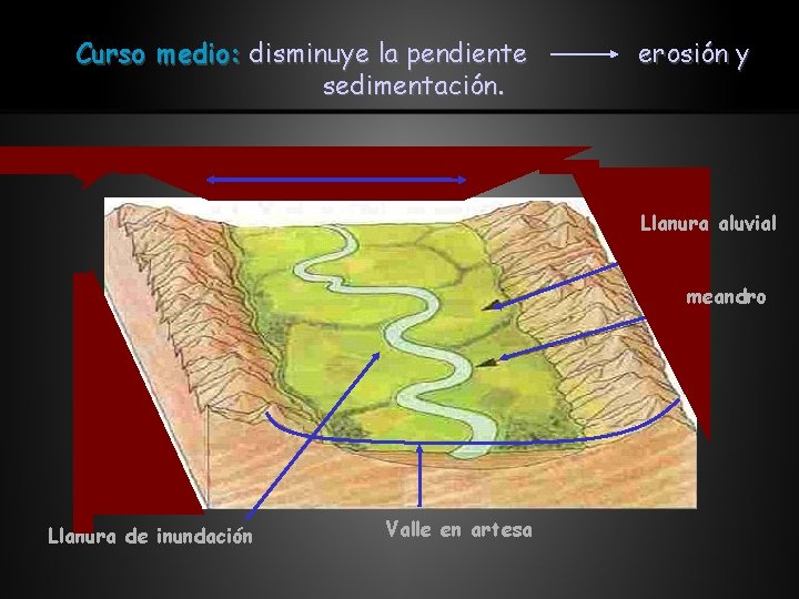 Curso medio: disminuye la pendiente sedimentación. erosión y Llanura aluvial meandro Llanura de inundación