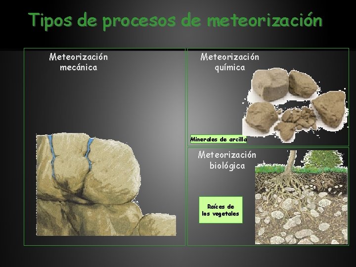 Tipos de procesos de meteorización Meteorización mecánica Meteorización química Minerales de arcilla Meteorización biológica