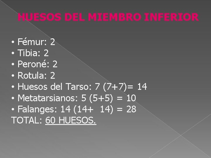 HUESOS DEL MIEMBRO INFERIOR • Fémur: 2 • Tibia: 2 • Peroné: 2 •