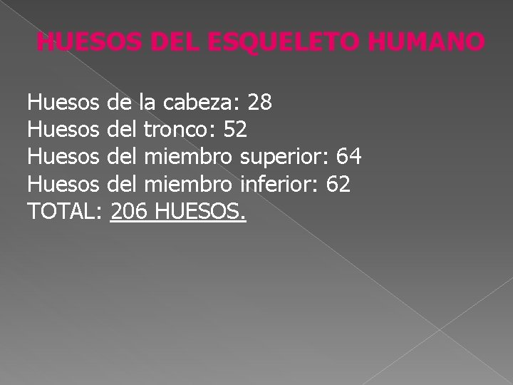 HUESOS DEL ESQUELETO HUMANO Huesos de la cabeza: 28 Huesos del tronco: 52 Huesos