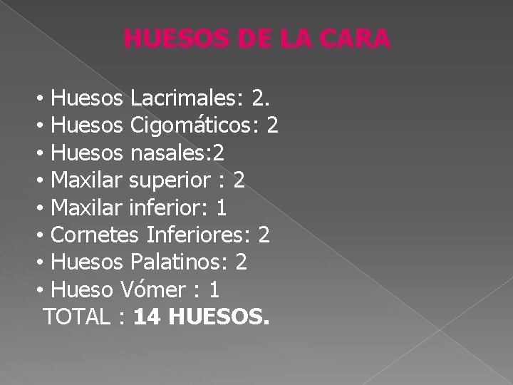 HUESOS DE LA CARA • Huesos Lacrimales: 2. • Huesos Cigomáticos: 2 • Huesos