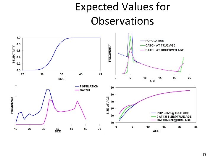 Expected Values for Observations 18 Expected Values for Observations 18