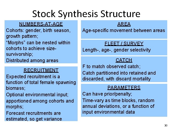 Stock Synthesis Structure NUMBERS-AT-AGE Cohorts: gender, birth season, growth pattern; “Morphs” can be nested Stock Synthesis Structure NUMBERS-AT-AGE Cohorts: gender, birth season, growth pattern; “Morphs” can be nested