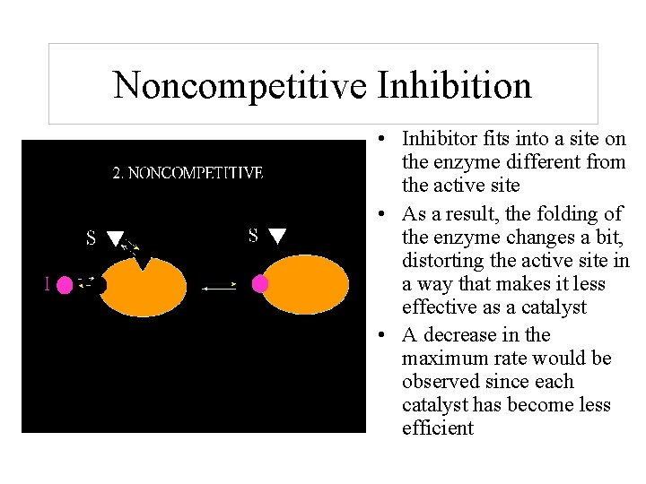 Analysis of Tyrosinase Enzyme Experiment 5 Enzymes