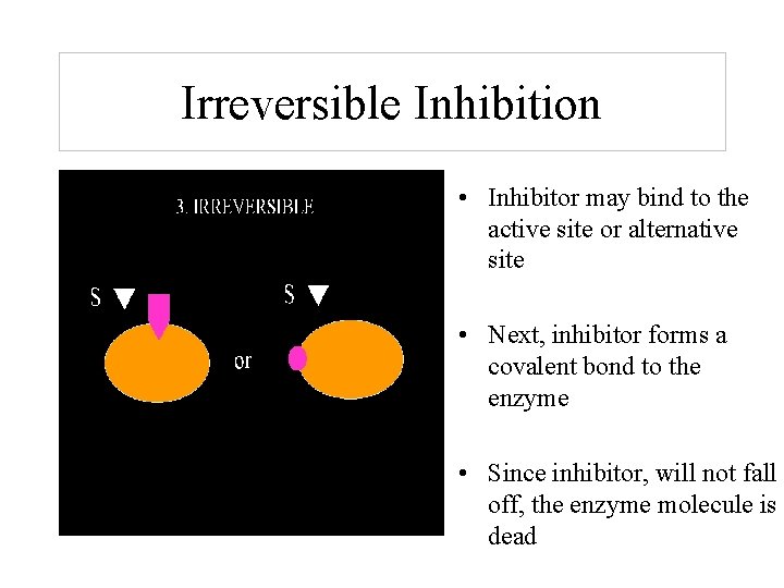 Irreversible Inhibition • Inhibitor may bind to the active site or alternative site •