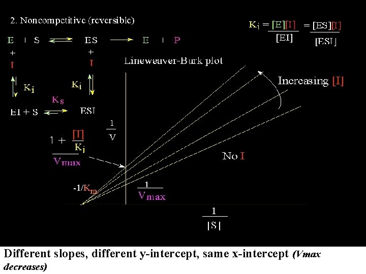 Different slopes, different y-intercept, same x-intercept (Vmax decreases) 