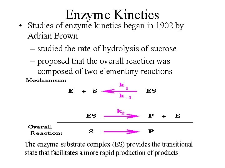 Enzyme Kinetics • Studies of enzyme kinetics began in 1902 by Adrian Brown –