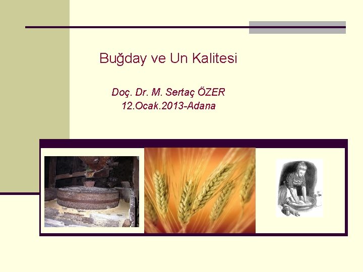Buğday ve Un Kalitesi Doç. Dr. M. Sertaç ÖZER 12. Ocak. 2013 -Adana 