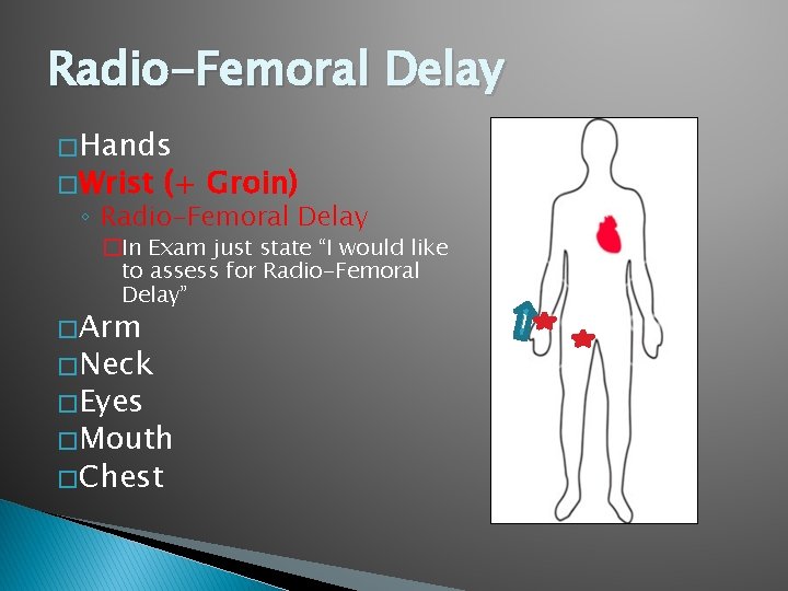 Radio-Femoral Delay � Hands � Wrist (+ Groin) ◦ Radio-Femoral Delay �In Exam just Radio-Femoral Delay � Hands � Wrist (+ Groin) ◦ Radio-Femoral Delay �In Exam just