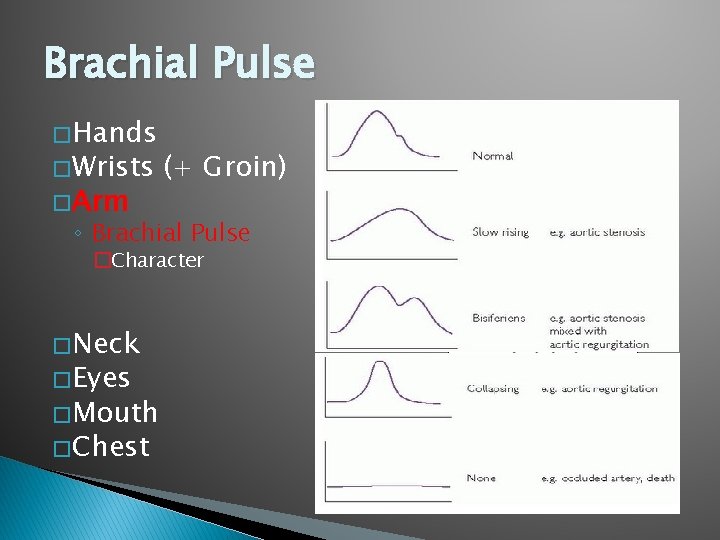 Brachial Pulse � Hands � Wrists � Arm (+ Groin) ◦ Brachial Pulse �Character Brachial Pulse � Hands � Wrists � Arm (+ Groin) ◦ Brachial Pulse �Character