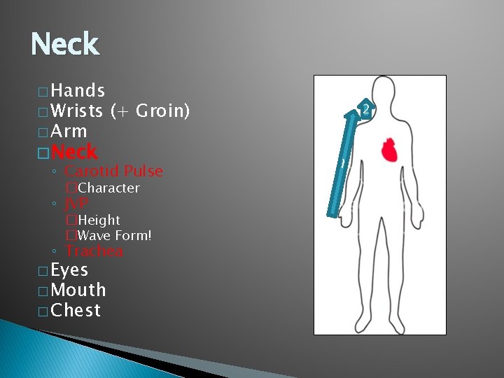 Neck � Hands � Wrists � Arm (+ Groin) � Neck ◦ Carotid Pulse Neck � Hands � Wrists � Arm (+ Groin) � Neck ◦ Carotid Pulse