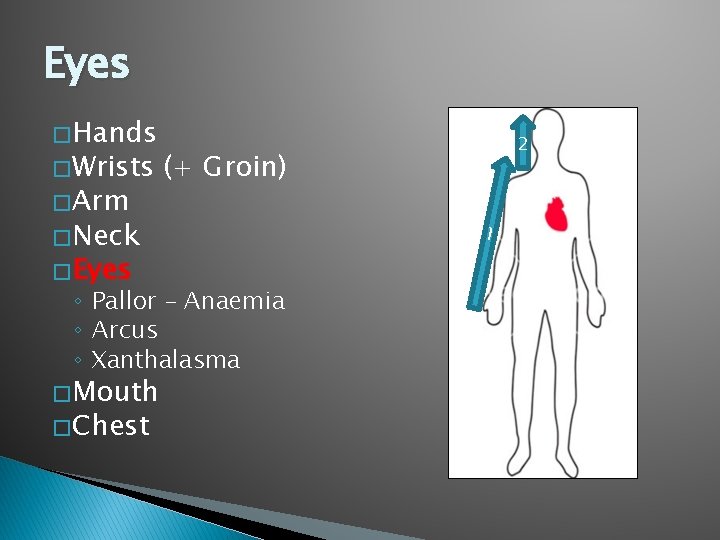 Eyes � Hands � Wrists � Arm (+ Groin) � Neck � Eyes ◦ Eyes � Hands � Wrists � Arm (+ Groin) � Neck � Eyes ◦