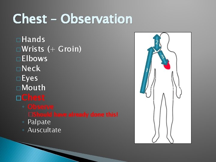 Chest – Observation � Hands (+ Groin) � Elbows � Neck � Eyes � Chest – Observation � Hands (+ Groin) � Elbows � Neck � Eyes �