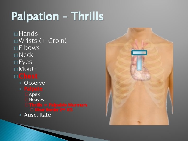 Palpation – Thrills � Hands � Wrists (+ Groin) � Elbows � Neck � Palpation – Thrills � Hands � Wrists (+ Groin) � Elbows � Neck �