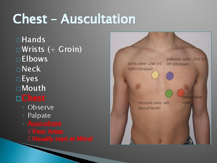 Chest – Auscultation � Hands (+ Groin) � Elbows � Neck � Eyes � Chest – Auscultation � Hands (+ Groin) � Elbows � Neck � Eyes �