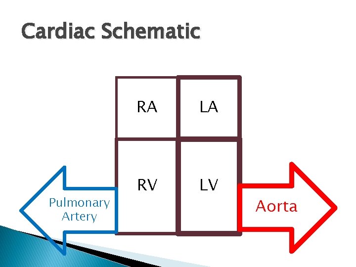 Cardiac Schematic Pulmonary Artery RA LA RV LV Aorta Cardiac Schematic Pulmonary Artery RA LA RV LV Aorta