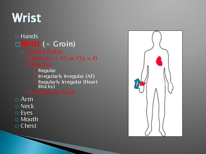Wrist � Hands � Wrist (+ Groin) ◦ Radial Pulse �Rate (6 s x Wrist � Hands � Wrist (+ Groin) ◦ Radial Pulse �Rate (6 s x