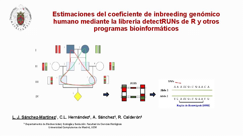 Estimaciones del coeficiente de inbreeding genómico humano mediante la librería detect. RUNs de R