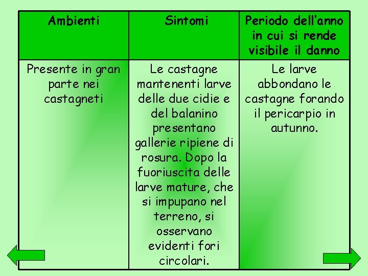 Ambienti Presente in gran parte nei castagneti Sintomi Periodo dell’anno in cui si rende