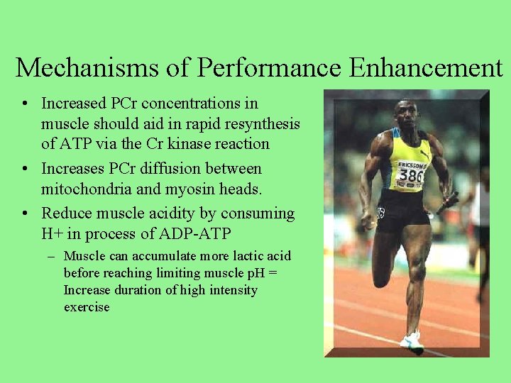 Mechanisms of Performance Enhancement • Increased PCr concentrations in muscle should aid in rapid